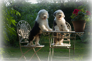 What's for lunch today?